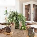 וילה Ereza White Homes קלטה דה פוסטה